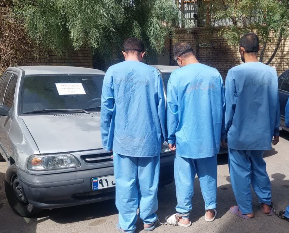 دستگیری سه سارق حرفه ای در گچساران 